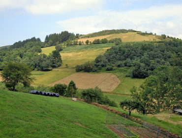 Récord de compraventa de tierra agraria en el año 2021 en Galicia