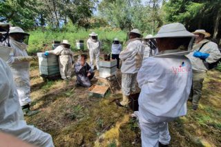 Curso de iniciación a la apicultura en la EFA Fonteboa