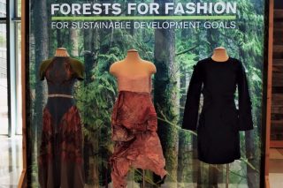 Fibras textiles forestales, un mercado en ascenso a nivel mundial