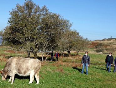 Nuevo pastizal de 32 hectáreas en el concello pontevedrés de Cerdedo-Cotobade