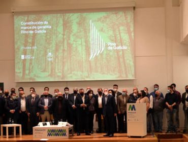 La Fundación Arume lanza la marca Pino de Galicia para prestigiar la madera gallega de coníferas