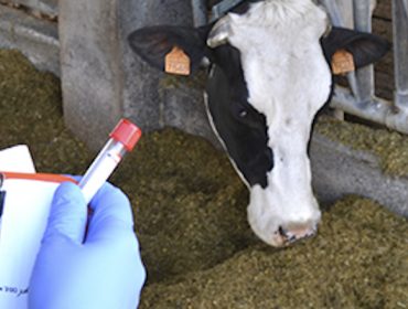 Seminario sobre mejora genética en las ganaderías de vacuno de leche