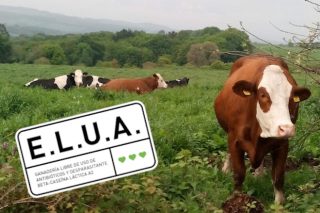 Nace el primer certificado en España para granjas libres del uso de antibióticos