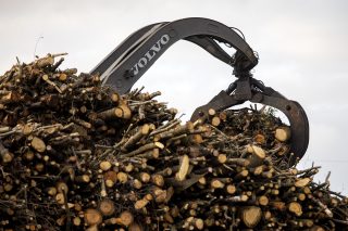 Publicada la resolución de ayudas de la Xunta al sector forestal y de la madera