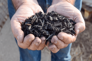Uso de carbón vegetal en fosas de purín para reducir las emisiones e incrementar su valor fertilizante
