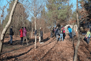 Jornada de voluntariado forestal en el Parque del Lago de Castiñeiras