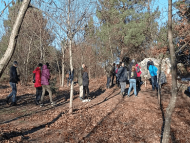 Jornada de voluntariado forestal en el Parque del Lago de Castiñeiras