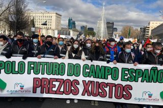 Cientos de ganaderos gallegos participan en la manifestación en Madrid en defensa del rural