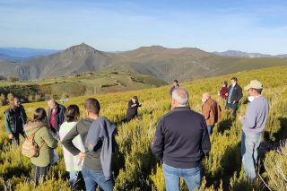 Quemas prescritas y pastoreo: prácticas tradicionales sostenibles para rejuvenecer el monte y preservar hábitats naturales