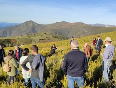 Quemas prescritas y pastoreo: prácticas tradicionales sostenibles para rejuvenecer el monte y preservar hábitats naturales