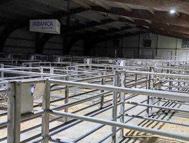 El paro de los transportes deja desierto el mercado de ganado de Silleda