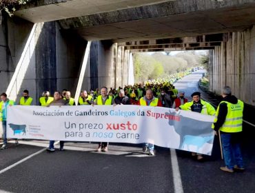 Los productores de vacuno de carne suman apoyos a la manifestación de mañana en Lugo