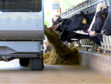 Las debilidades del sistema de producción de leche en Galicia
