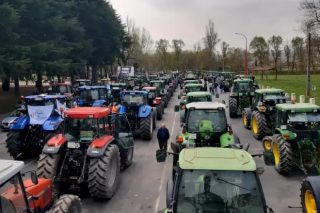 Agricultores y ganaderos reivindican mejoras en el sector con una  tractorada en A Limia