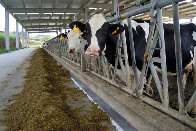 “Las sentencias que ha habido hasta el momento refuerzan la posición de los ganaderos frente a las industrias del cártel de la leche”