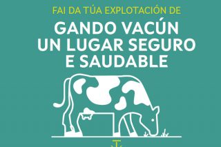 Campaña de prevención de riesgos en 25.000 ganaderías de vacuno de Galicia