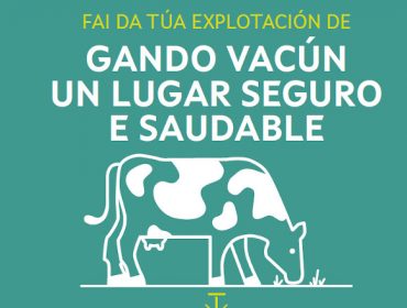 Campaña de prevención de riesgos en 25.000 ganaderías de vacuno de Galicia