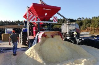 Ventajas del grano húmedo respecto a la harina de maíz en las ganaderías de vacuno de leche