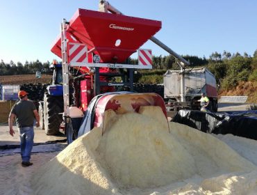 Grano húmedo de maíz en vacuno de leche: Resultados de un estudio en 13 ganaderías gallegas