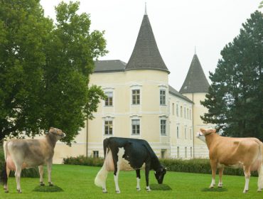 Comparación de resultados entre las razas Fleckvieh, Holstein y  Brown Swiss en Austria