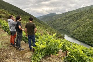 El Gobierno Central sigue sin contemplar la singularidad del viñedo gallego