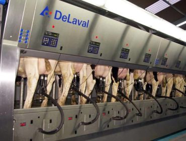 Recomendaciones para reducir la contaminación eléctrica en las granjas y su incidencia en las vacas