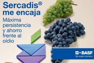 Sercadis®, el antioídio más persistente, llega al cultivo vitivinícola de la mano de BASF