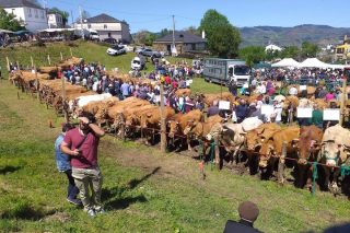Feria en defensa de los ganaderos de Os Ancares mañana en San Román