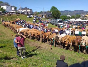 Feria en defensa de los ganaderos de Os Ancares mañana en San Román
