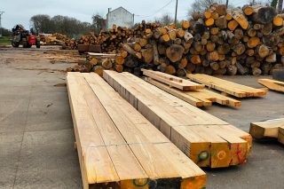 Estudio sobre el comportamiento de la madera de castaño verde en construcción