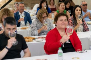 Los vinos de las cinco IGP de Galicia visitarán cuatro ciudades gallegas este mes