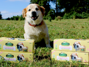 Casa Grande de Xanceda lanza el primer helado ecológico para perros
