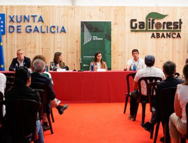 La marca Pino de Galicia alcanza más de 20 empresas adheridas en los primeros meses de lanzamiento del sello