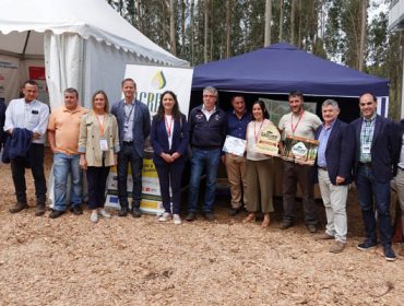Un nuevo método de extracción de resina en pinares, primer premio en el Concurso de Innovación de Galiforest