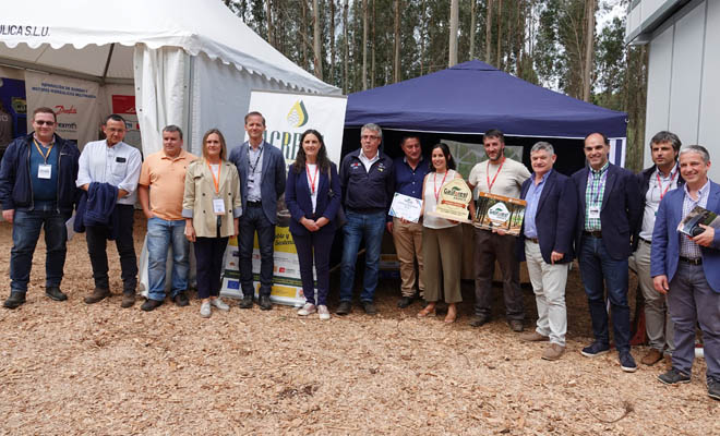 Un nuevo método de extracción de resina en pinares, primer premio en el Concurso de Innovación de Galiforest