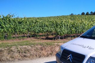 Investigadores gallegos lideran un proyecto para reducir el uso de pesticidas en la viticultura europea