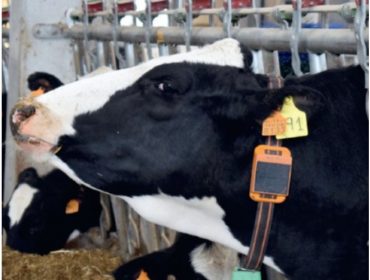 Curso de formación sobre nuevas aplicaciones tecnológicas que facilitan la gestión del ganado