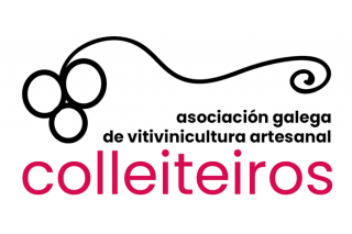 El colectivo de cosecheros del Ribeiro se convierte en la Asociación Galega de Vitivinicultura Artesanal
