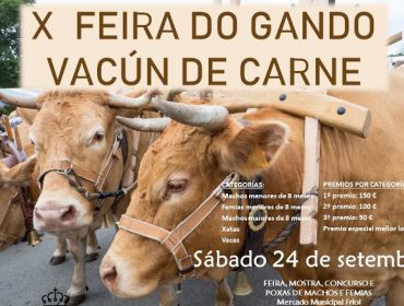 Friol vuelve a celebrar la Feria de Ganado Vacuno de Raza Rubia Gallega el 24 de septiembre