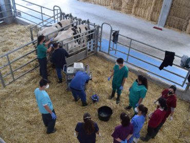 Granja Experimental de Leche de la Diputación de Lugo: Un motor para la innovación en el sector lácteo