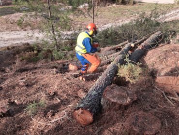 La «Estrategia de Seguridad y Salud en el Trabajo de Galicia: Horizonte 2027» se centrará con especial incidencia en los sectores forestal y agrario