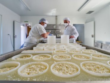 Curso de elaboración de quesos de pasta blanda