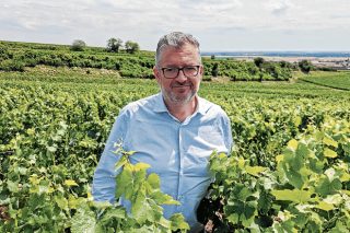 “En Champagne el kilo de uva se le paga de media al viticultor a 6 euros”