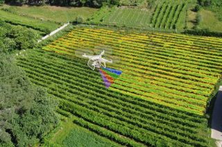 Vitidron, viticultura de precisión con drones en Galicia