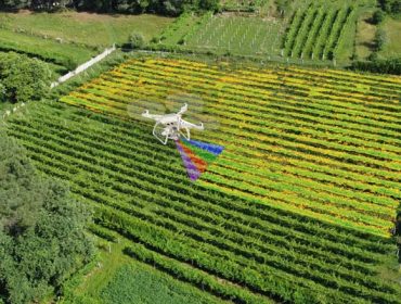 Vitidron, viticultura de precisión con drones en Galicia
