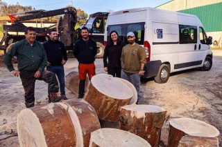 Estudian el uso de madera de eucalipto para barricas de vino