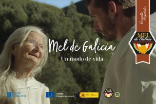 «Un modo de vida»: El film que homenaje a la apicultura de Galicia