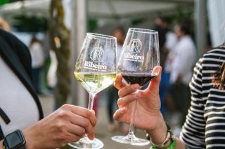 Nuevo procedimiento oficial para verificar la aptitud de los vinos gallegos con Denominación de Origen