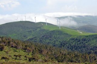Proponen pagos por conservación a comunidades de montes para garantizar la biodiversidad de la Red Natura 2000 en Galicia