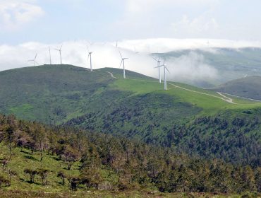 Proponen pagos por conservación a comunidades de montes para garantizar la biodiversidad de la Red Natura 2000 en Galicia